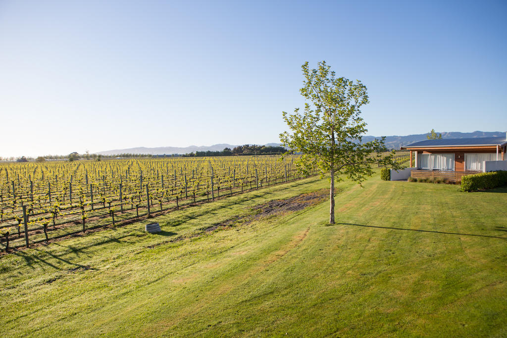 Marlborough Vintners Accommodation Blenheim Kültér fotó