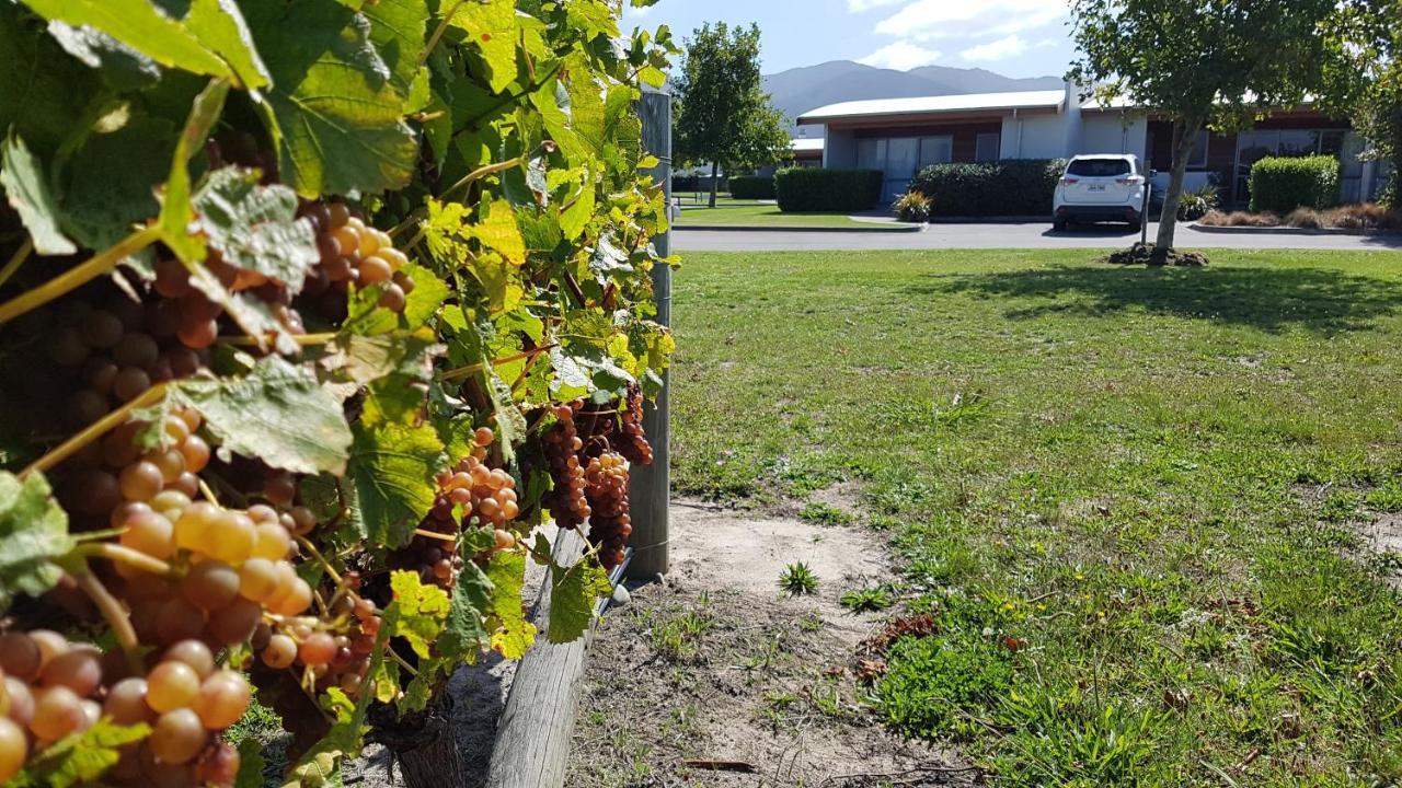 Marlborough Vintners Accommodation Blenheim Kültér fotó